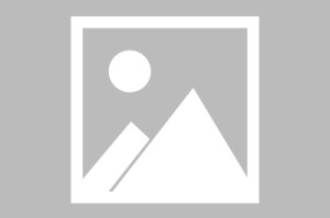 世界田径青少年排名系统：数据化选材提升公正性，2021世界青年田径锦标赛