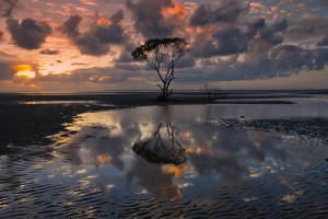 世界拳击锦标赛赛后裁判复盘视频公开教学用途，拳击裁判读秒